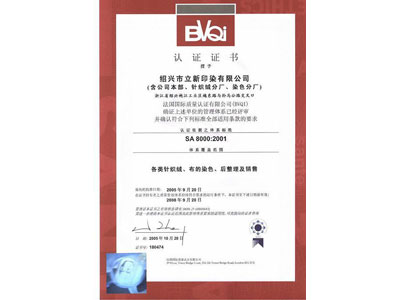 SA8000：2001认证证书